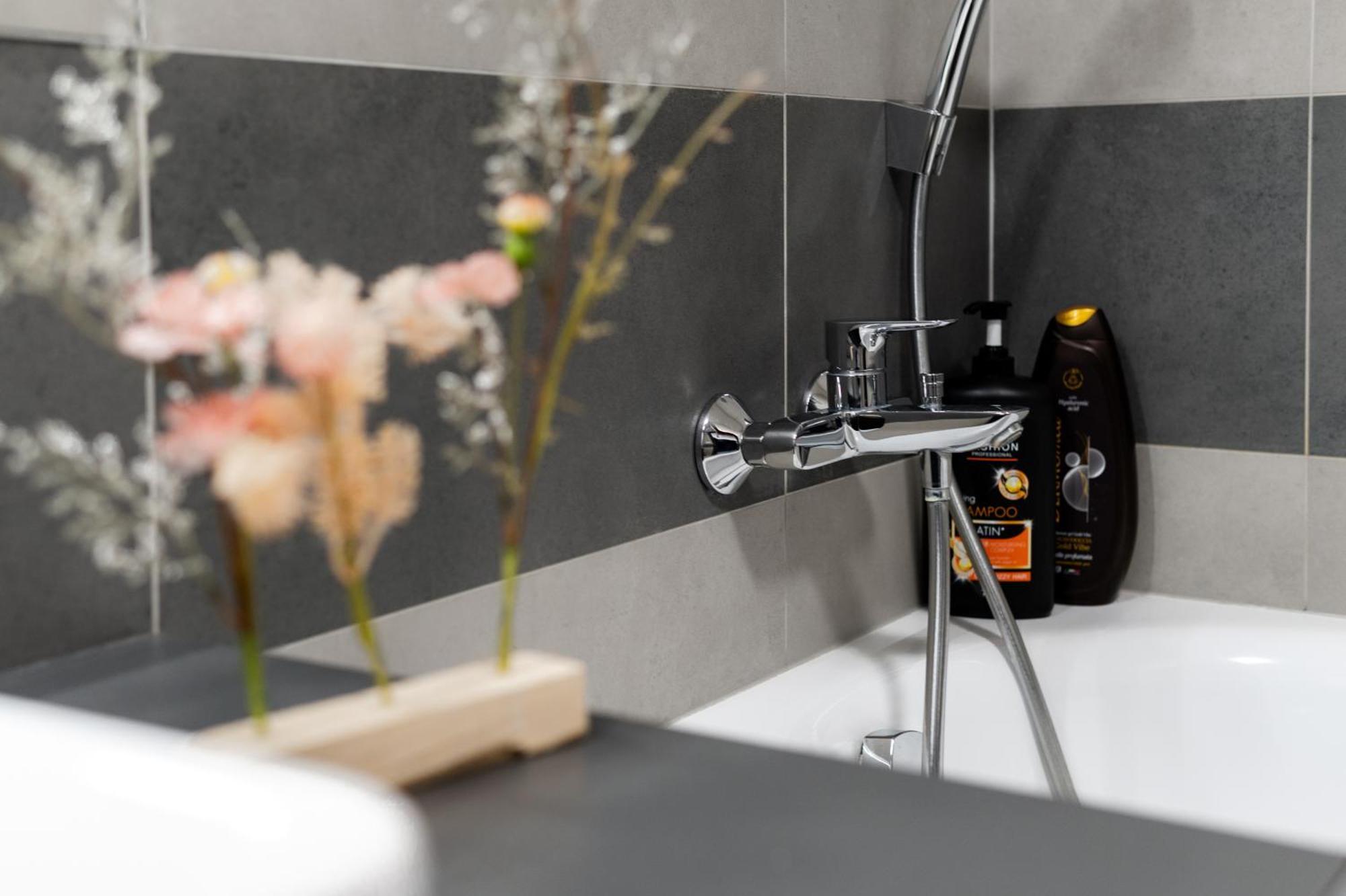 Bnb New Beautiful Apartment In The Center Of Ostrava With Option Garage Parking Екстер'єр фото