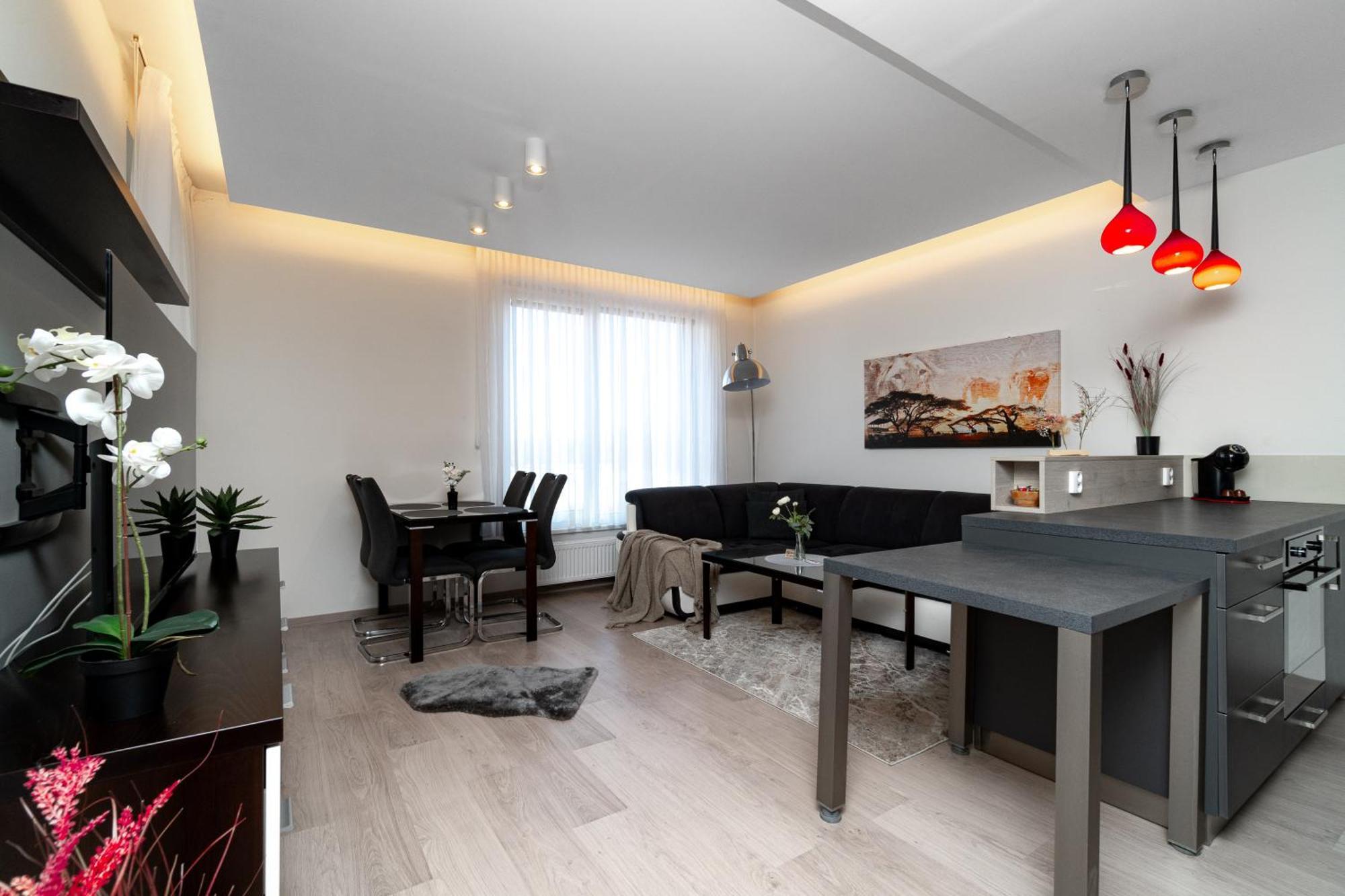 Bnb New Beautiful Apartment In The Center Of Ostrava With Option Garage Parking Екстер'єр фото